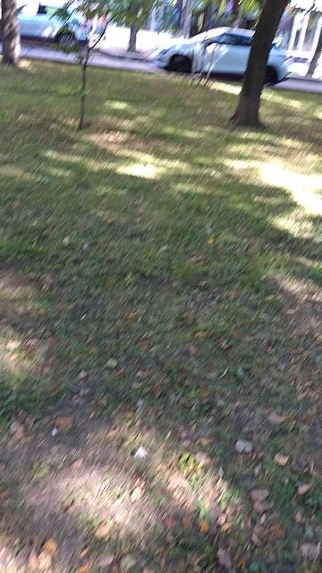 №557	Комсомольский проспект. 15 августа 2025 г., 15:30:55 VID_20250815_153040919