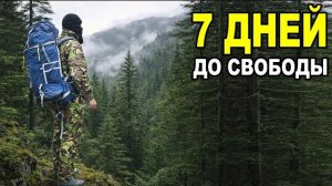 Побег из Украины в России через Венгрию.7 дней Ада