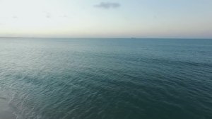 95% океана – вечная тьма. Что скрывается в глубине #океан #природа #чтоскрываетокеан