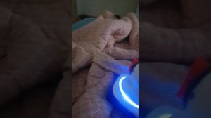 Обзор на мой Бластер