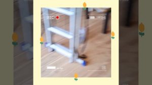 1000044330.mp4 (Собака наблюдает за устройством лестницы на 2 этаж в доме А-фрейм)