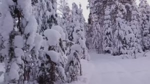 С Новым 2026 годом