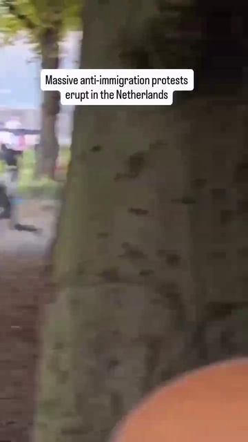 #Нидерланды #Протесты  Массовые антимигрантские беспорядки в Нидерландах смотреть онлайн