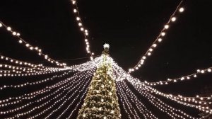 2026🎄🎄🎄🎄🎄🎄Гуляем на ёлке🎄☃️🎄☃️