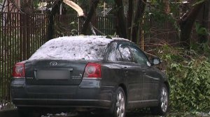 В горных районах Сочи восстановлено электроснабжение после непогоды