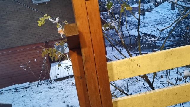 СОЧИ ГОРНОЕ ЛОО УТРО 01.01.2026 смотреть онлайн