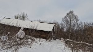 Обзор зимовника. Поздравление с наступающим... 31 декабря 2025 года.