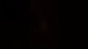 с новым годом