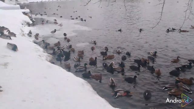 25.12.31 смотреть онлайн