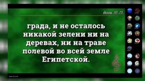 10 ГЛАВА КНИГИ ИСХОД