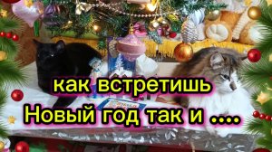 С 1 января! С Новым годом 🎄