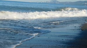 ВИДЕО  ПВН  ББ   (1489)