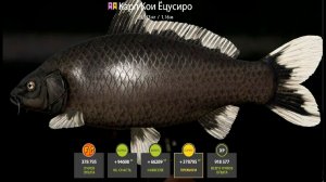 РАЗДАЧА ЦВЕТНОГО КАРПА ПРОДОЛЖАЕТСЯ. ФАРМ КАРПА НА МЕДНОМ. Всех с Новым Годом. Russian Fishing 4