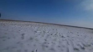 Охота на волков 2.