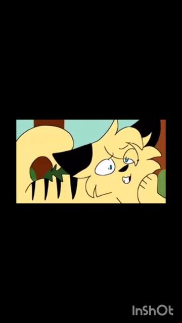 приветка пчелы 🐝🐈🐱😼 от Полухвостой звезды ⭐️ смотреть онлайн