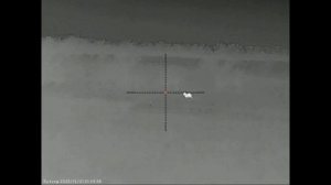 И снова мне повезло, пара вечеров охоты на шакала в Волгоградских степях.