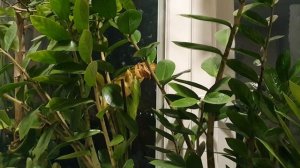 Прожил свой век...