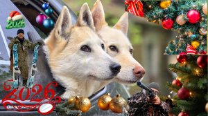 С новым годом!