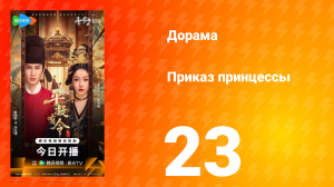 Приказ принцессы 23 серия