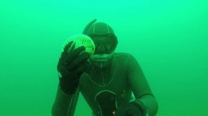 Огород 07.2015