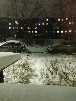 новый год у меня