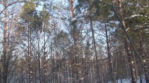 Бродилки от Бродислава 296.