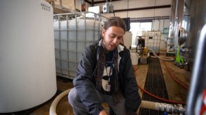 Фильтрация медовухи и медового вина - лентикулярный фильтр