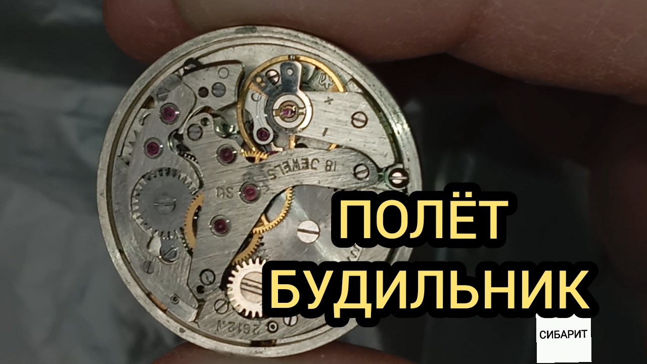 ЧАСЫ ПОЛЕТ СВЕРЧОК СИГНАЛ С БУДИЛЬНИКОМ смотреть онлайн