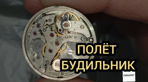 ЧАСЫ ПОЛЕТ СВЕРЧОК СИГНАЛ С БУДИЛЬНИКОМ