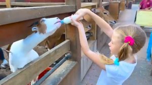 Приключения и игры Насти и папы в большом выпуске видео для детей