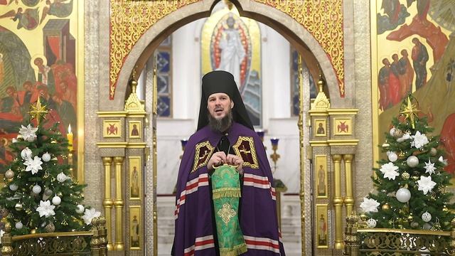 О главной цели христианской жизни в Новом году смотреть онлайн