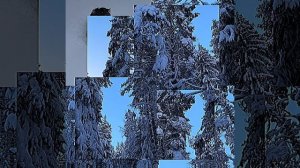 Навстречу новому 2026 году!