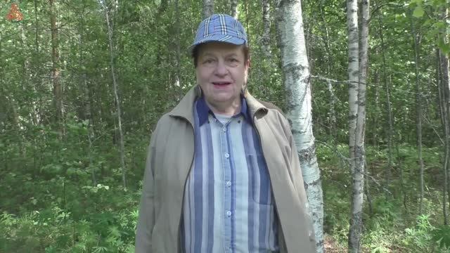Только на опушке! А внутри леса ничего! Дневник грибника 6 июня 2023 года. смотреть онлайн