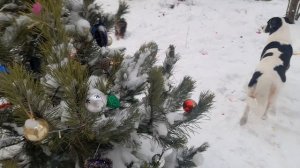 1000055857.mp4. 🚀🖋️УТРЕННЯЯ ПРОГУЛКА В 2026 ГОДУ ✨💃🔥МОИ БУДНИ 🚀🖋️