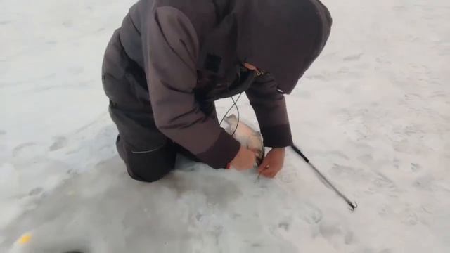 01.01.26 г. РК Волна. смотреть онлайн