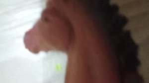 типы лошадей в нашей конюшне от плохих до хороших