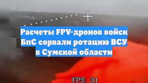 Расчеты FPV-дронов войск БпС сорвали ротацию ВСУ в Сумской области