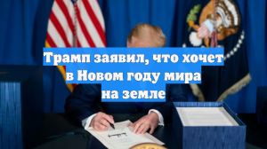 Трамп заявил, что хочет в Новом году мира на земле