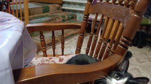 Мухаморчик