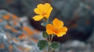 Louis Armstrong Let My People Go / Луис Армстронг Лет май пипл гоу