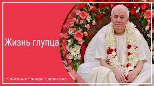 Жизнь глупца