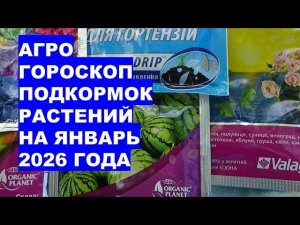 Январь 2026: когда подкармливать растения? Астрологический календарь Раисы Горяченко