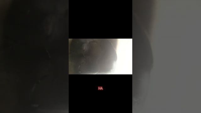 ОБЗОР МОНЕТ СО ВСЕГО МИРА! #шортс #ютуб #ютубшортс #shorts #монета #монеты #обзор #youtube #youtubes смотреть онлайн