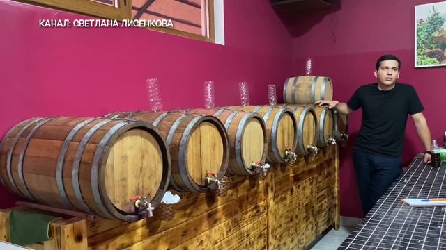 АБХАЗИЯ! Винный двор! Дегустация вина! смотреть онлайн