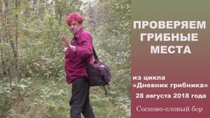 Проверяем грибные места.  Дневник грибника 28  августа 2018 года.