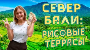 Север Бали: рисовые террасы Джатилувих | Достопримечательности Бали