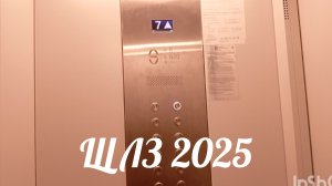 ⚡Первое видео про лифты в 2026 году! Лифт ЩЛЗ 2025 г. в.