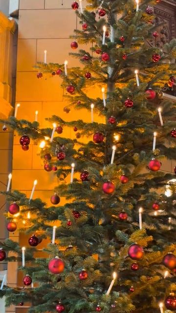 Зажигательное шоу! 🔥 смотреть онлайн