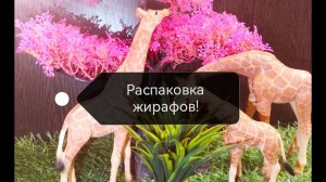 Распаковка Жирафов🦒🌱