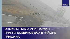 Оператор БПЛА уничтожил группу боевиков ВСУ в районе Гришина